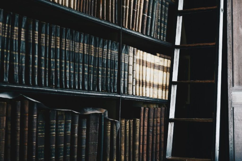 Appeals Lawyer Edmonton