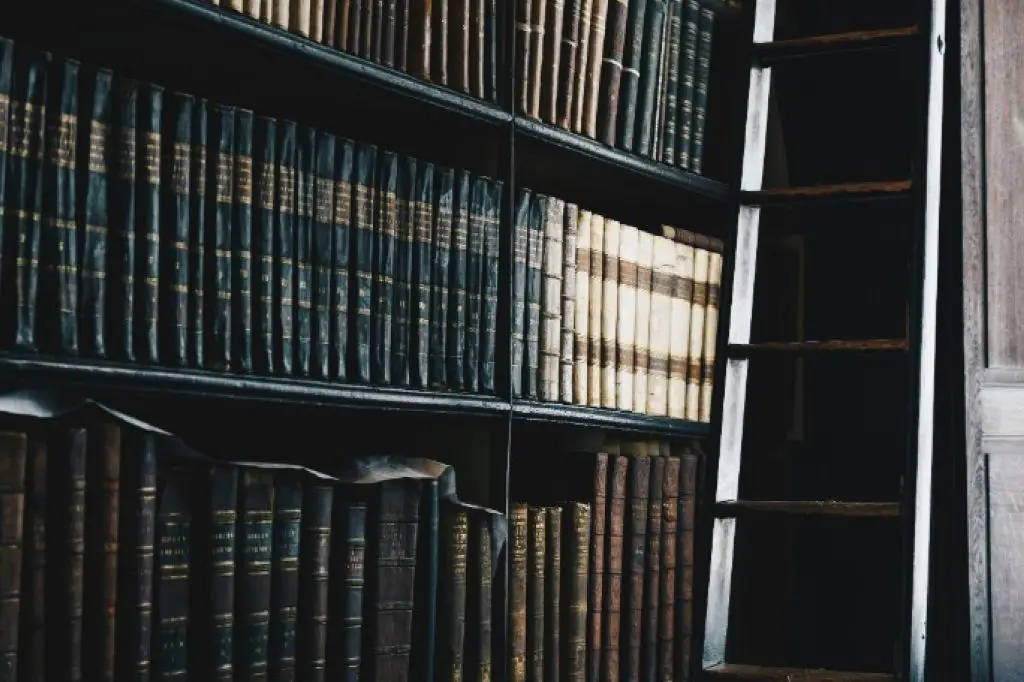 Appeals Lawyer Edmonton